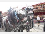 Fotoserie Tagstreifzug Volksfest
