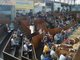 Volksfestk&ouml;nigin besucht den Gro&szlig;viehmarkt in M&uuml;hldorf